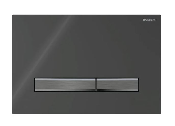 GEBERIT SIGMA 50 ovládacie tlačidlo pre dve splachovania, easy-to-clean, zinok/plast, čierna  115.671.DW.2 Obrázek - Hlavní obrázek