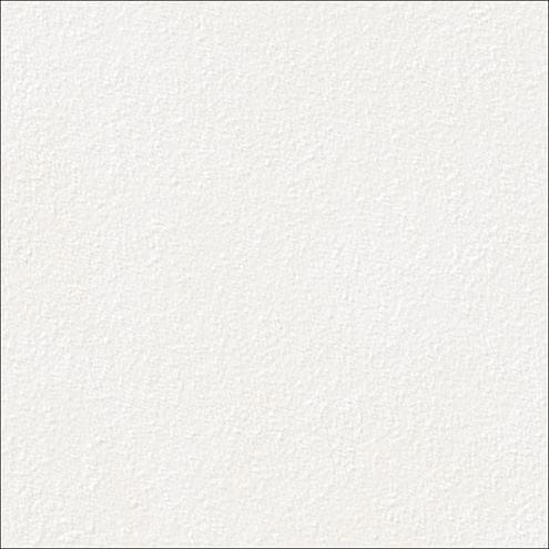 RAKO BETONICO OUTDOOR dlažba 60x60x2 cm, mat reliéf, bielošedá DAR66790 Obrázek - Hlavní obrázek
