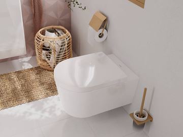 HANSGROHE ADDSTORIS WC kefa, nástenná, sklo, kartáčovaný bronz 41752140 Obrázek - fotka