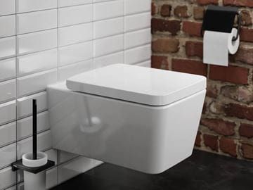 HANSGROHE ADDSTORIS WC kefa, nástenná, sklo, matná čierna 41752670 Obrázek - fotka
