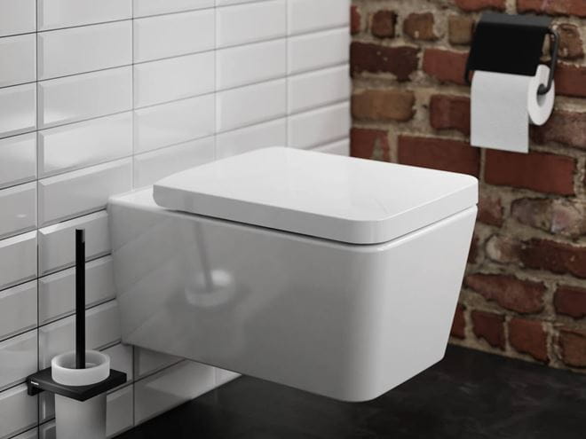 HANSGROHE ADDSTORIS WC kefa, nástenná, sklo, matná čierna 41752670 Obrázek - fotka