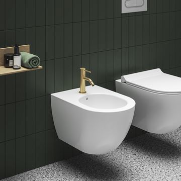 RAVAK ESPIRIT bidetová stojanková batéria, EcoFlow, kartáčované zlato X070605 Obrázek - fotka