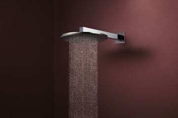 HANSGROHE RAINDANCE ALIVE S 300 1JET horná sprcha pr. 300 mm, chróm 24520000 Obrázek - fotka