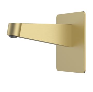 EASY+ SELECTION sprchové rameno 186 mm, nástenné, brúsené zlato