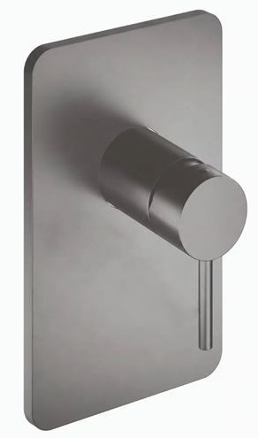 CONCEPT 300 ROUND sprchová podomietková batéria, brushed metallic  CRIPH68677CON Obrázek - Hlavní obrázek