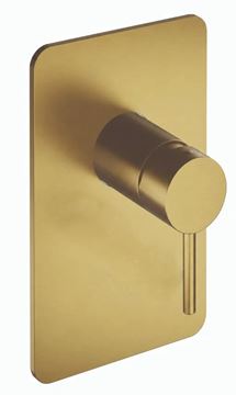 CONCEPT 300 ROUND sprchová podomietková batéria, PVD, brushed gold brass 