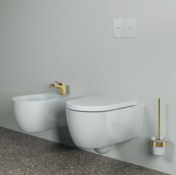 IDEAL STANDARD CONCA WC kefa, nástenná, sklo, kartáčované zlato T4495A2 Obrázek - fotka