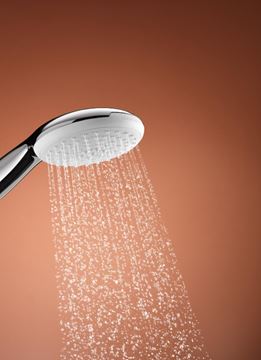 GROHE TEMPESTA 110 ručná sprcha pr. 110 mm, 2 prúdy, chróm 2759730E Obrázek - fotka