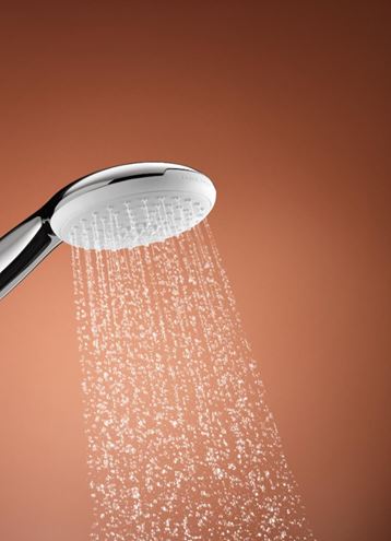GROHE TEMPESTA 110 ručná sprcha pr. 110 mm, 2 prúdy, chróm 2759730E Obrázek - fotka
