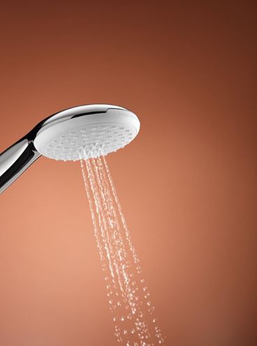 GROHE TEMPESTA 110 ručná sprcha pr. 110 mm, 2 prúdy, chróm 2759730E Obrázek - fotka