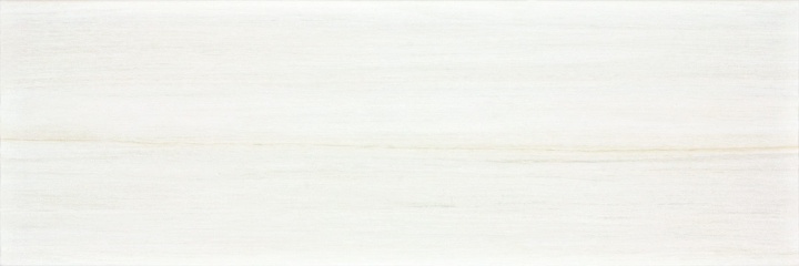 RAKO CHARME obklad 20x60 cm, mat, svetlo šedá WADVE036 Obrázek - Hlavní obrázek