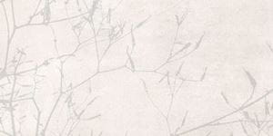 VILLEROY & BOCH SPOTLIGHT dekor 30x60cm, white
