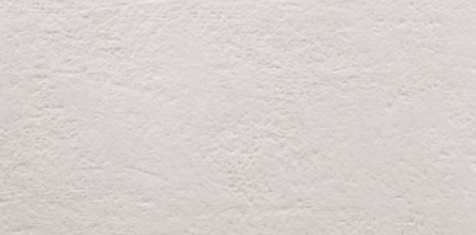 ARGENTA LIGHT STONE obklad 25x50 cm, mat, white LIGHT STONE WHITE 25 Obrázek - Hlavní obrázek