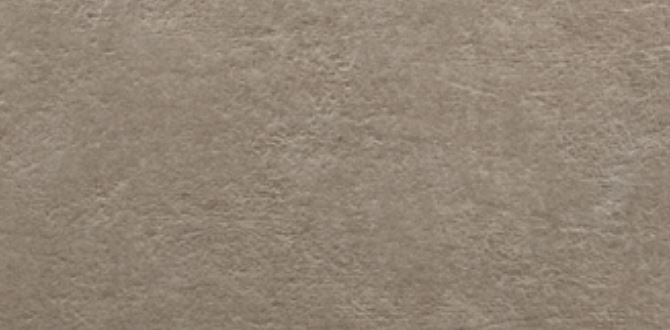 ARGENTA LIGHT STONE obklad 25x50 cm, mat, taupe LIGHT STONE TAUPE 25 Obrázek - Hlavní obrázek