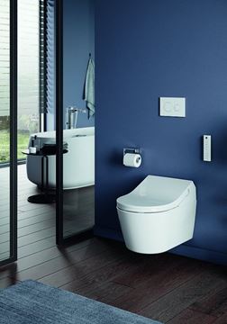 CONCEPT 200 WASHLET bidetové sedadlo, okrúhle, SoftClose 894CG-CON-DUS-R Obrázek - fotka