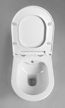 EDEN AYVA sprchovacie WC so sedátkom, Rimless 100315 Obrázek - fotka