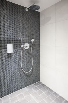 GROHE EUPHORIA 110 DUO ručná sprcha pr. 110 mm, 2 prúdy, chróm 27220000 Obrázek - fotka