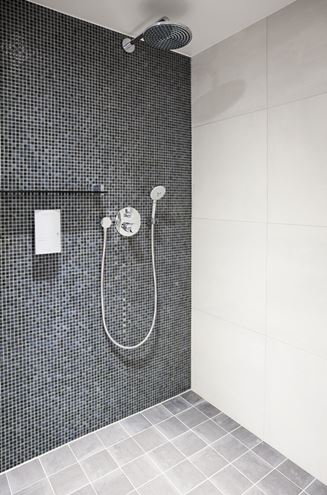 GROHE EUPHORIA 110 DUO ručná sprcha pr. 110 mm, 2 prúdy, chróm 27220000 Obrázek - fotka