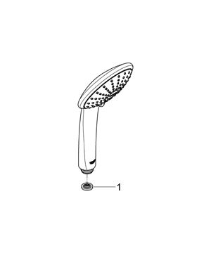 GROHE EUPHORIA 110 DUO ručná sprcha pr. 110 mm, 2 prúdy, chróm 27220000 Obrázek - fotka