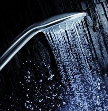 GROHE EUPHORIA 110 MONO ručná sprcha pr. 110 mm, chróm 27265000 Obrázek - fotka