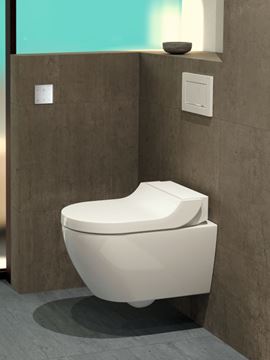 GEBERIT AQUACLEAN TUMA CLASSIC bidetové sedadlo, SoftOpening 146.072.11.1 Obrázek - fotka