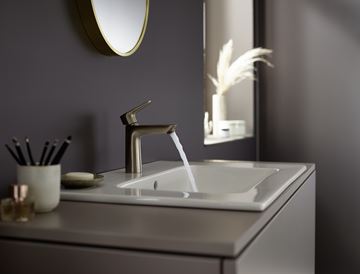 HANSGROHE TALIS E umývadlová stojanková batéria, EcoSmart, brúsený bronz 71712140 Obrázek - fotka