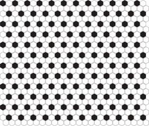 DUNIN HEXAGONIC mozaika 30x26(2,3x2,6)cm, lesk, white black mix