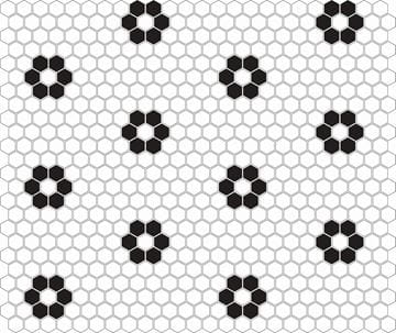 DUNIN HEXAGONIC mozaika 30x26(2,3x2,6)cm, lesk, white black flower MINI HEX. B&W FLOWER Obrázek - fotka