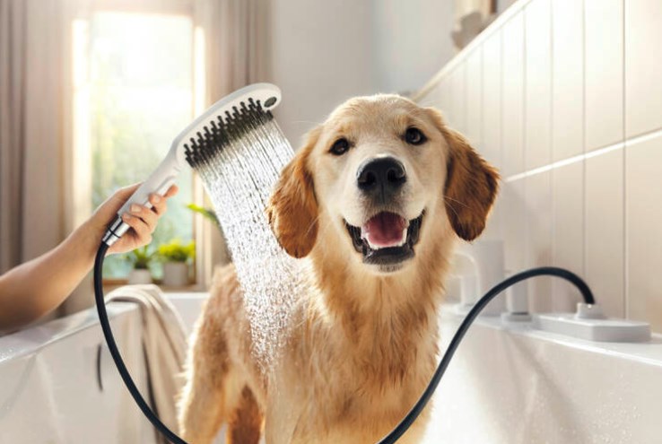 HANSGROHE DOGSHOWER 150 3JET ručná sprcha 150x63 mm, 3 prúdy, matná biela 26640700 Obrázek - fotka