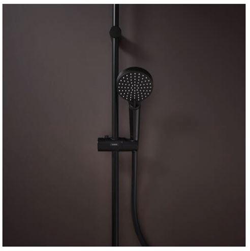 HANSGROHE VERNIS BLEND 2JET ručná sprcha pr. 100 mm, 2 prúdy, matná čierna 26270670 Obrázek - fotka
