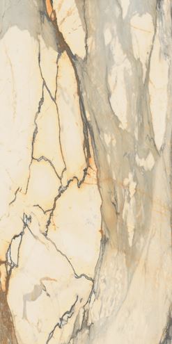 GARDENIA ORCHIDEA LA MARMOTECA dlažba 60x120cm, lux, antique brown G0027060 Obrázek - Hlavní obrázek