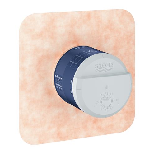GROHE RAINSHOWER podomietkové teleso DN15 26484000 Obrázek - fotka