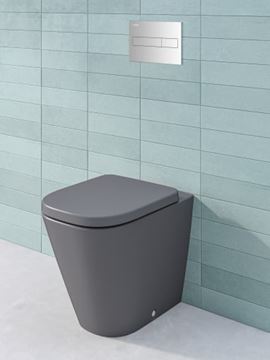 LAUFEN LIS AW1 ovládacie tlačidlo pre dve splachovania, plast, chróm H8956610040001 Obrázek - fotka