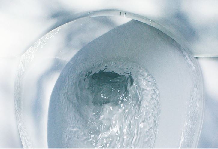TOTO RP závesné WC, Rimless splachovanie CW552RY Obrázek - fotka