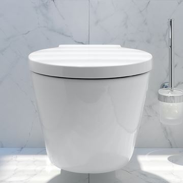 DURAVIT STARCK 1 WC sedadlo, Soft-Close 0065880099 Obrázek - fotka