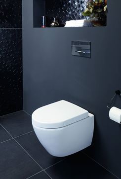 VILLEROY & BOCH VERITY DESIGN 2.0 WC sedadlo, SoftClosing, alpská biela 8M48S101 Obrázek - fotka