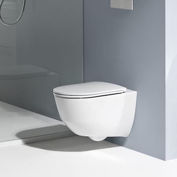 LAUFEN PRE WC sedadlo Slim, biela H8989650000001 Obrázek - fotka