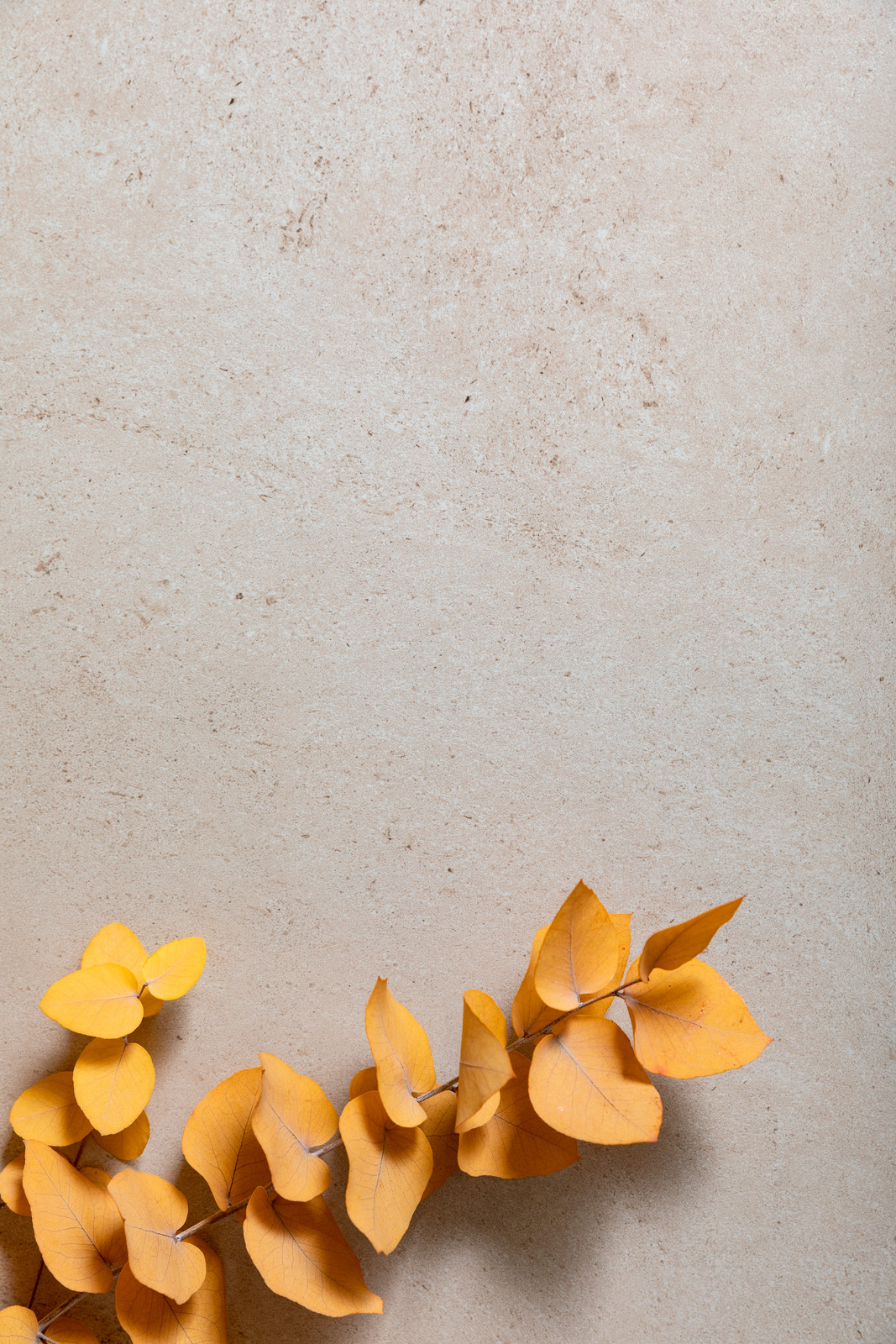MARAZZI STONEWORK dlažba 30x60 cm, mat, beige MLHE Obrázek - fotka