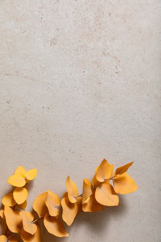 MARAZZI STONEWORK dlažba 30x60 cm, mat, taupe MLHG Obrázek - fotka