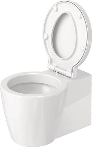 DURAVIT STARCK 1 WC sedadlo, Soft-Close 0065880099 Obrázek - fotka