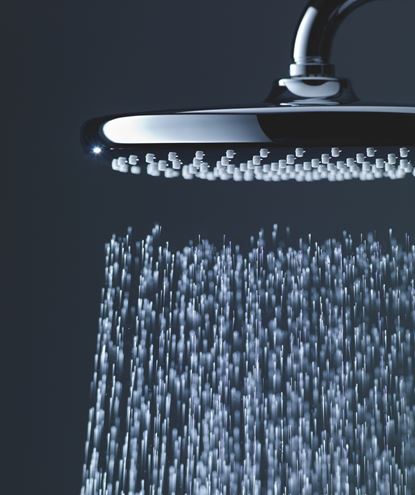 GROHE TEMPESTA 250 horná sprcha pr. 250 mm, Water Saving, biela/chróm 26666000 Obrázek - fotka