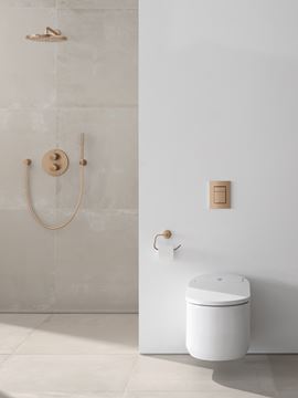 GROHE RAINSHOWER COSMOPOLITAN 310 horná sprcha pr. 310 mm, s ramenom, Water Saving, brúsený Warm Sunset 26066DL0 Obrázek - fotka