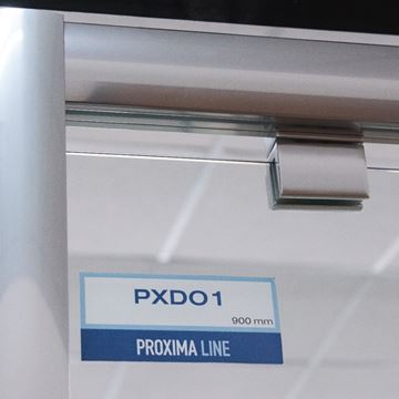 ROTH PROXIMA LINE PXDO1N/800 sprchové dvere 80x200 cm, pivotové, brillant/sklo satinato 525-8000000-00-15 Obrázek - fotka
