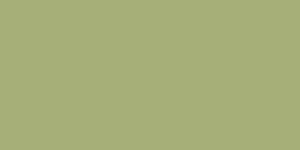 ARGENTA TRENDY obklad 25x50 cm, mat, matcha