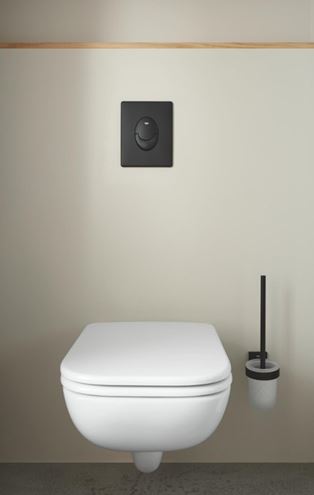 GROHE SKATE AIR ovládacie tlačidlo pre dve splachovania, plast, phantom black 38505KF0 Obrázek - fotka