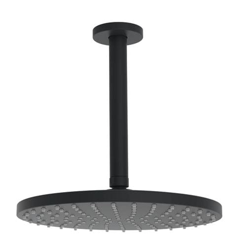 HANSA VIVA horná sprcha pr. 250 mm, s ramenom, matná čierna 4427020033 Obrázek - Hlavní obrázek