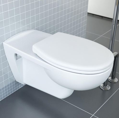 CONCEPT 100 bezbariérové závesné WC, Rim-ex splachovanie, alpská biela 5810B003-0075 Obrázek - fotka