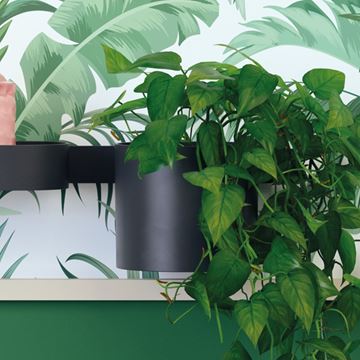 HANSGROHE WALLSTORIS pohárik na kefky, matná čierna 27921670 Obrázek - fotka