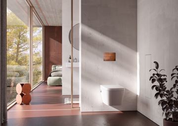 TECE SQUARE II ovládacie tlačidlo pre dve splachovania, kov, Corten 9240845 Obrázek - fotka