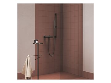 RAVAK 974.20GB sprchová tyč 700 mm s držiakom, brushed graphite X07P703 Obrázek - fotka
